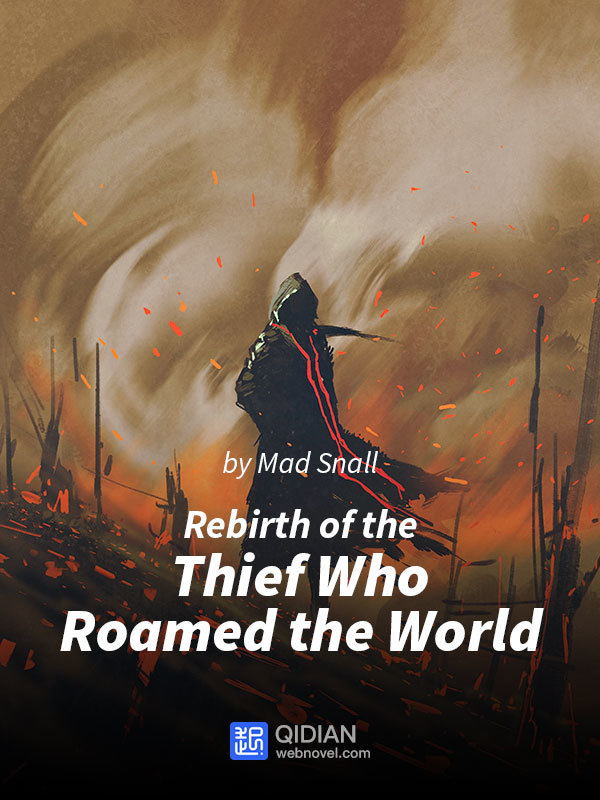 Rebirth of the Thief Who Roamed the World