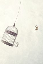 Desolation of the Caged Bird