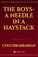 The Boys-A needle in a haystack